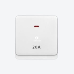 20A Switch With Neon (Big Button)